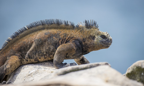 private tour example 67