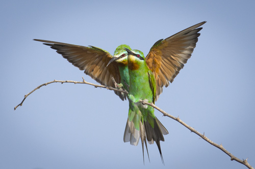 private tour example 68