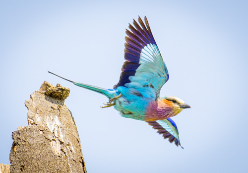 private tour example 69