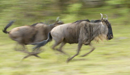 private tour example 73