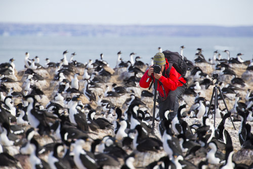 private tour example 74