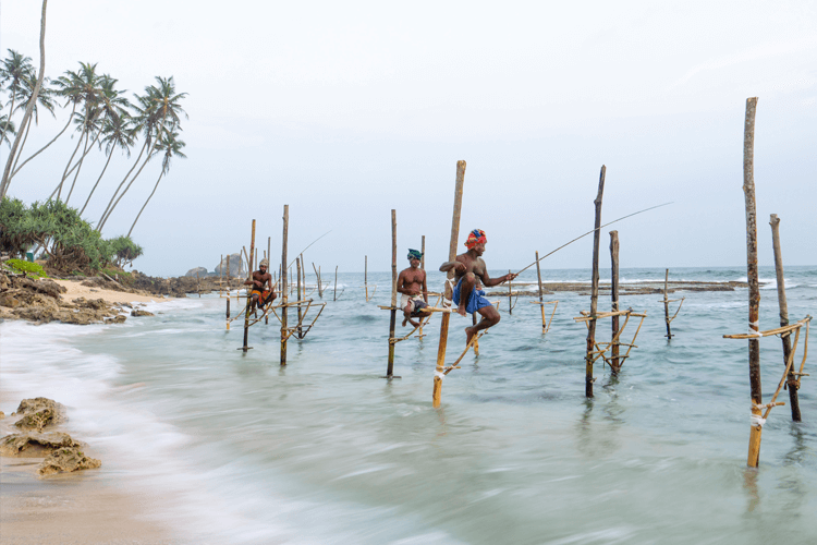 sri_lanka_india photo tour example 10