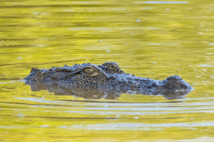 sri_lanka_india photo tour example 17