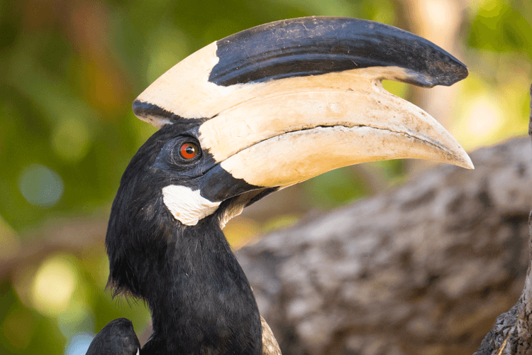 sri_lanka_india photo tour example 28