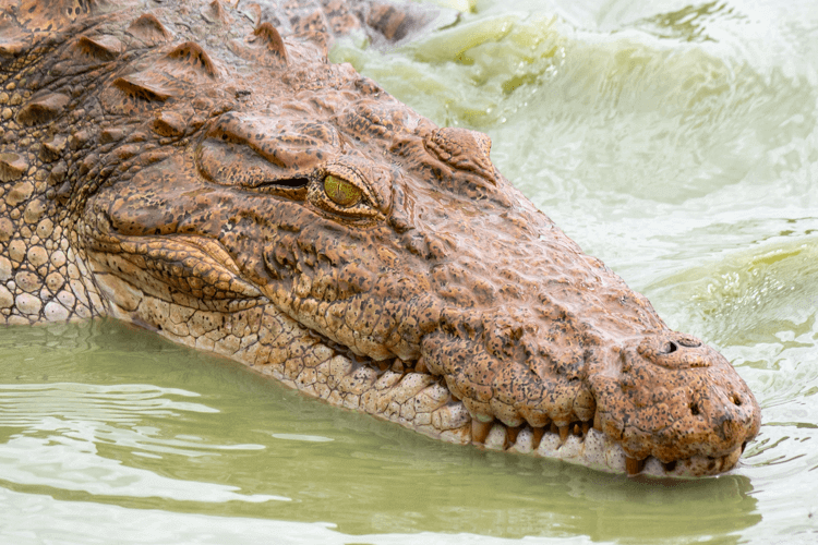 sri_lanka_india photo tour example 29