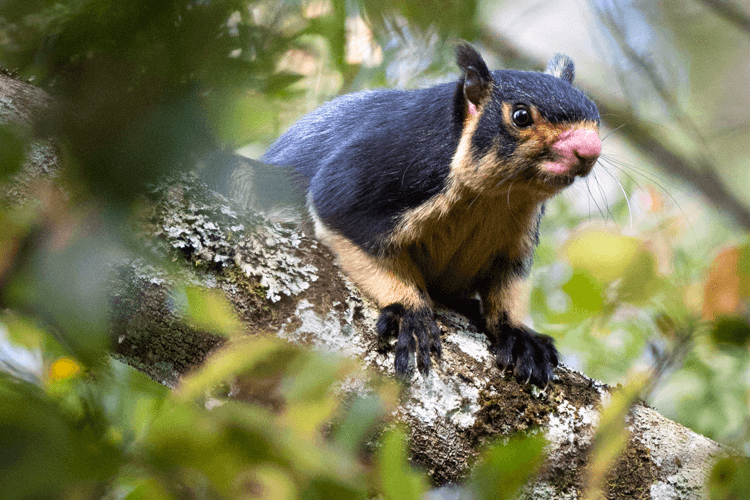 sri_lanka_india photo tour example 36