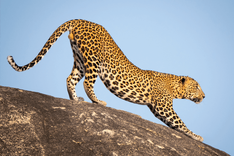 sri_lanka_india photo tour example 41