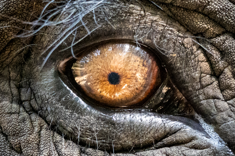 sri_lanka_india photo tour example 42