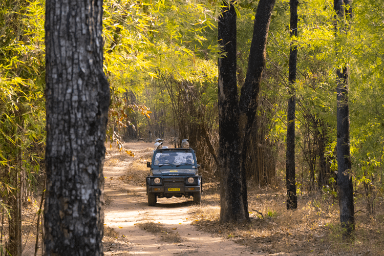 sri_lanka_india photo tour example 45