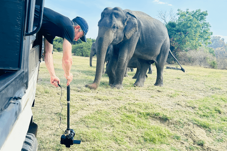 sri_lanka_india photo tour example 47