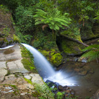 tasmania photo tour liffy falls waterfall