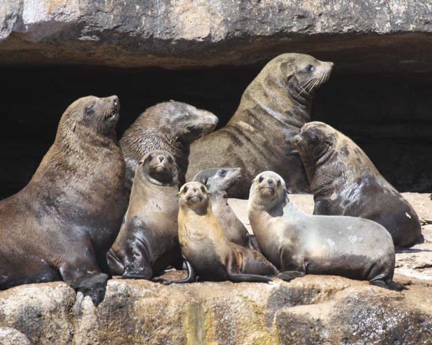 tasmania photo tour example 5