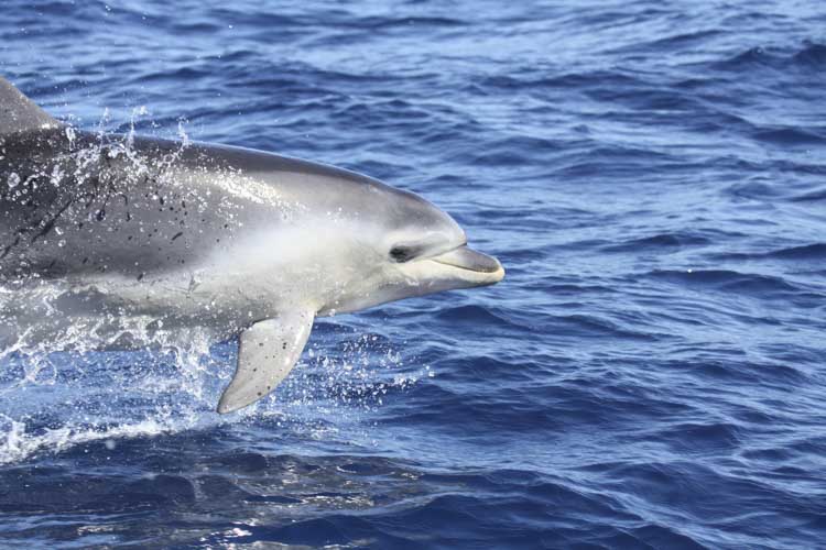 tasmania photo tour example 6