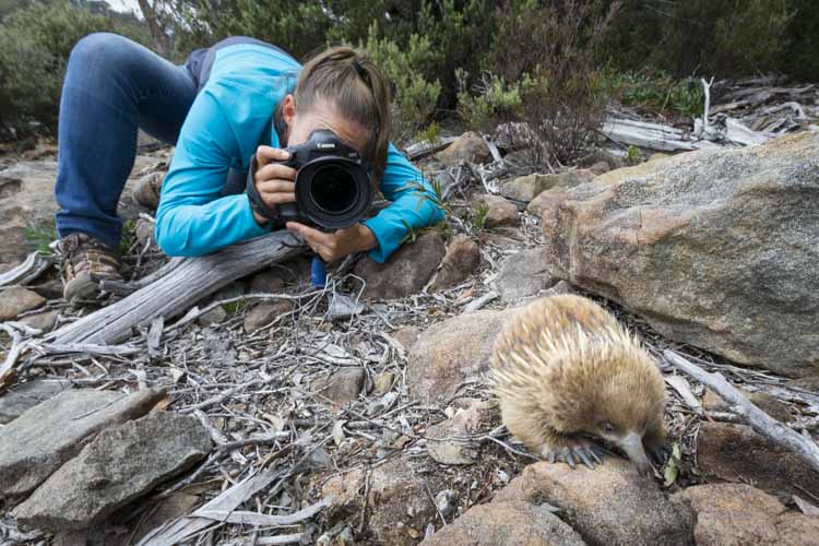 tasmania photo tour example 13