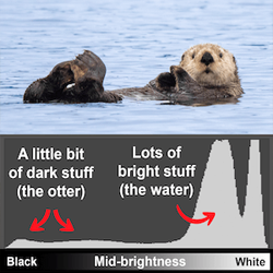 how to use histograms camera